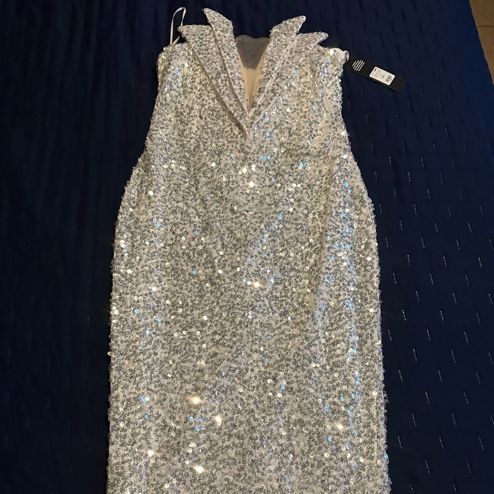 Fashion Nova Silver Sequin Sheath Dress